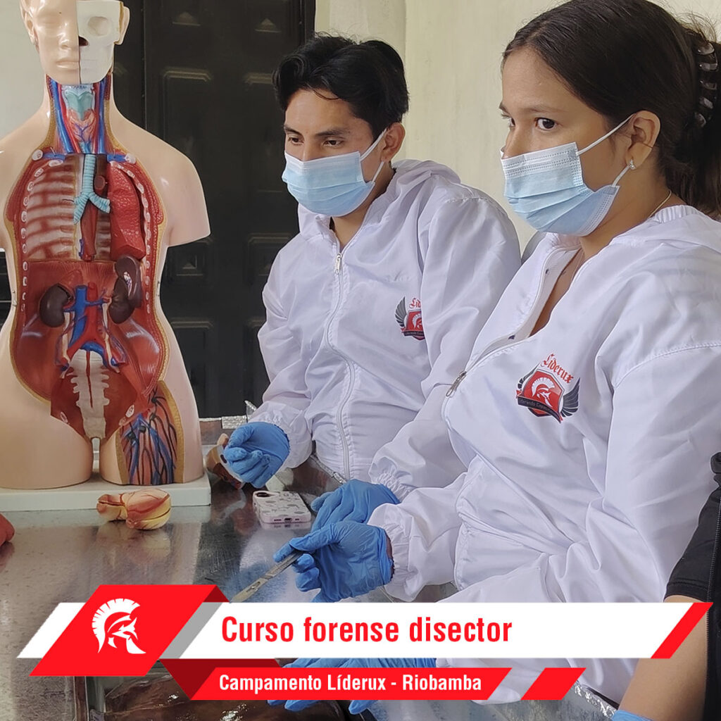 Forense